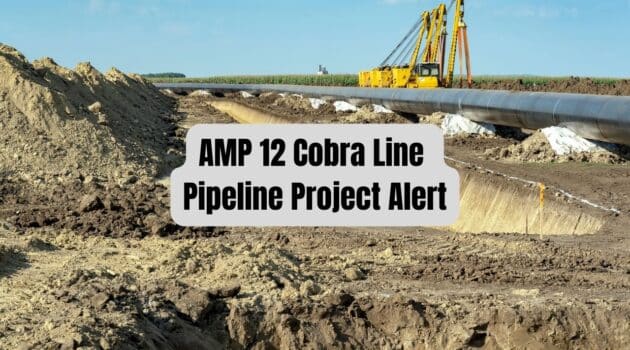 AMP 12 Cobra Line Pipeline Project Alert